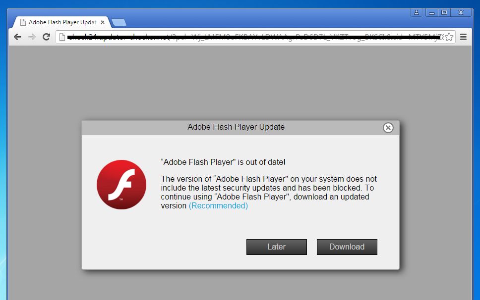 Adobe flash player for mac did not activate after install google